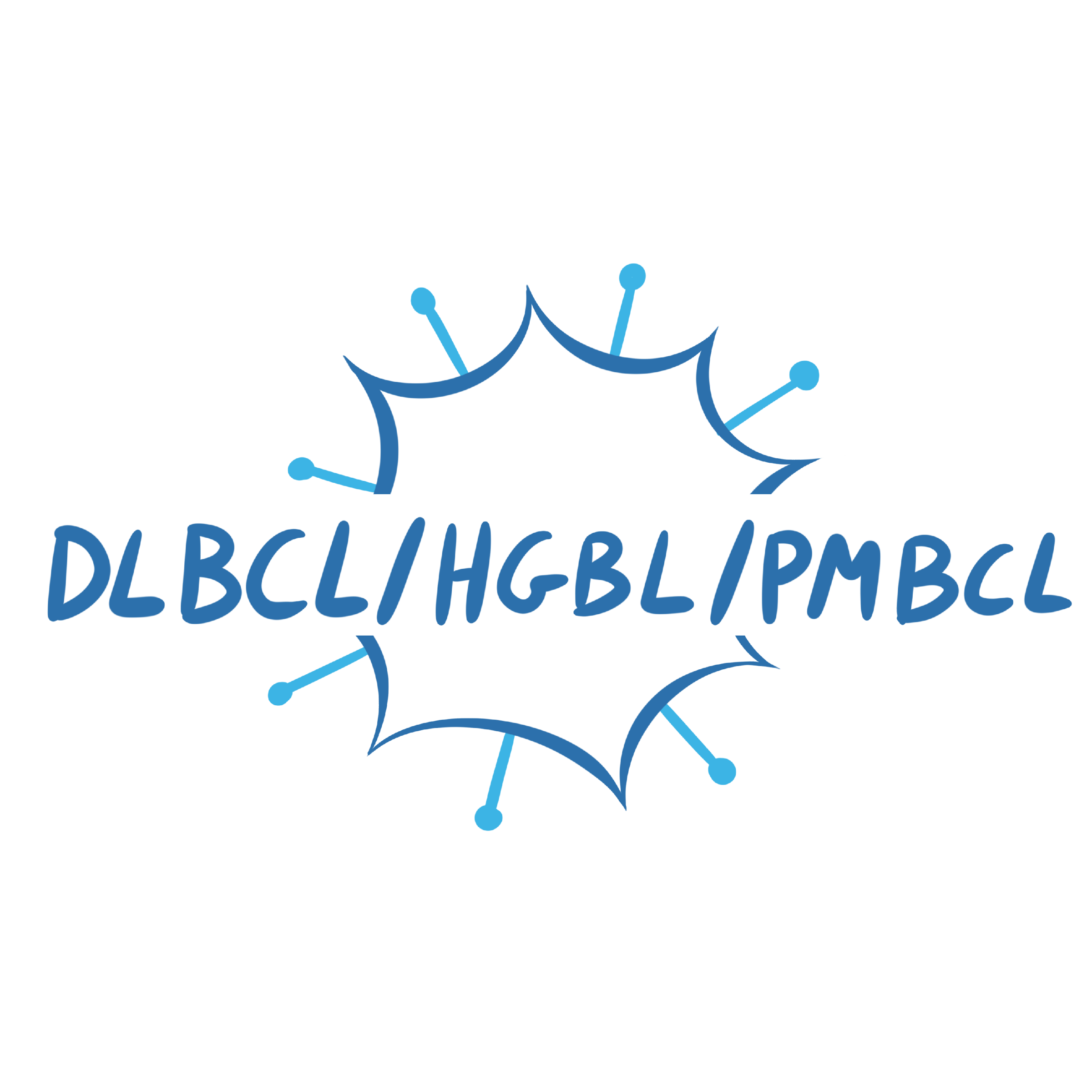 DLBCL / HGBL / PMBCL